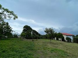  Land for sale in Tagaytay City, Cavite, Tagaytay City