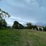  Land for sale in Cavite, Calabarzon, Tagaytay City, Cavite