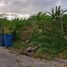  Land for sale in Las Pinas City, Metro Manila, Las Pinas City