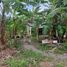 Land for sale in Las Pinas City, Metro Manila, Las Pinas City