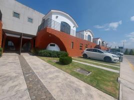 3 Schlafzimmer Wohnung zu verkaufen in Toluca, Mexico, Toluca