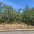  Terreno (Parcela) en venta en Muntinlupa City, Metro Manila, Muntinlupa City, Southern District, Metro Manila