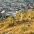  Grundstück zu verkaufen in Pachuca De Soto, Hidalgo, Pachuca De Soto