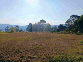  Terreno (Parcela) en venta en La Ceja, Antioquia, La Ceja