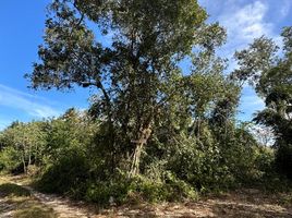  Land for sale in Cozumel, Quintana Roo, Cozumel