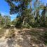  Land for sale in Cozumel, Quintana Roo, Cozumel