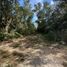  Land for sale in Cozumel, Quintana Roo, Cozumel