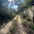  Land for sale in Cozumel, Quintana Roo, Cozumel