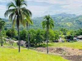  Land for sale in Caraga, Carmen, Agusan del Norte, Caraga