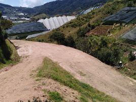  Land for sale in Marinilla, Antioquia, Marinilla