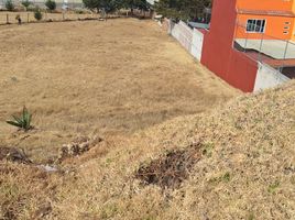  Grundstück zu verkaufen in Almoloya De Juarez, Mexico, Almoloya De Juarez