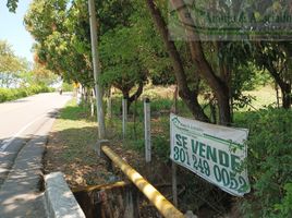  Terreno (Parcela) en venta en Ricaurte, Cundinamarca, Ricaurte