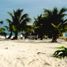  Grundstück zu verkaufen in Othon P Blanco, Quintana Roo, Othon P Blanco