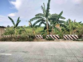  Land for sale in Cordova, Cebu, Cordova