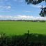  Land for sale in Plaridel, Central Luzon, Plaridel