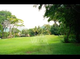  Terreno (Parcela) en venta en Jose Azueta, Guerrero, Jose Azueta