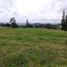  House for sale in Sotaquira, Boyaca, Sotaquira