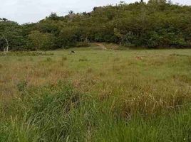  Land for sale in Bogo City, Cebu, Bogo City