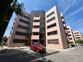 3 Bedroom Apartment for sale in San Luis Potosi, San Luis Potosi, San Luis Potosi, San Luis Potosi