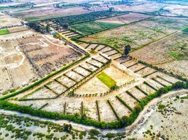 在Asia, Cañete出售的 土地, Asia