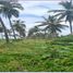  Land for sale in Escuinapa, Sinaloa, Escuinapa