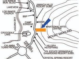  Land for sale in Los Baños, Laguna, Los Baños