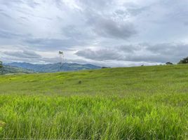 4 Habitación Casa en venta en Valle Del Cauca, Restrepo, Valle Del Cauca