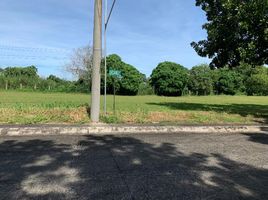  Land for sale at Manila Southwoods Peak V, Carmona