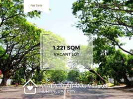  Grundstück zu verkaufen in Southern District, Metro Manila, Muntinlupa City