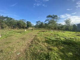  Terrain for sale in Cabatuan, Iloilo, Cabatuan