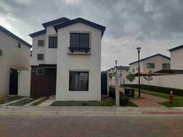 3 Habitación Casa en venta en Samborondón, Guayas, Samborondon, Samborondón