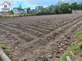  Terrain for sale in San Juan De Iluman, Otavalo, San Juan De Iluman