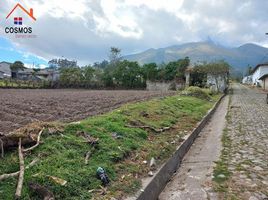  Grundstück zu verkaufen in Otavalo, Imbabura, San Juan De Iluman