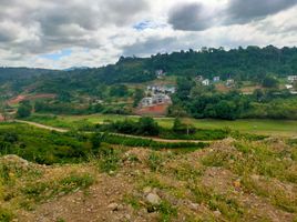  토지을(를) Antipolo City, 리잘에서 판매합니다., Antipolo City