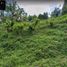  Land for sale in Central Visayas, Cebu City, Cebu, Central Visayas