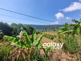  Tanah for rent in Buleleng, Bali, Sukasada, Buleleng