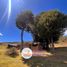  Land for sale in San Felipe De Ona, Azuay, San Felipe De Ona, Ona