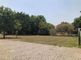  Terreno (Parcela) en venta en Atlixco, Puebla, Atlixco, Puebla
