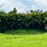  Land for sale in Pereira, Risaralda, Pereira