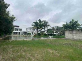  Land for sale in Samborondon, Guayas, Samborondon, Samborondon