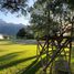 10 Bedroom Quinta for sale in Carmen, Nuevo Leon, Carmen, Nuevo Leon