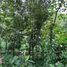  Terreno (Parcela) en venta en San Jose del Monte City, Central Luzon, San Jose del Monte City, Bulacan, Central Luzon