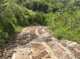  Terreno (Parcela) en venta en Cali, Valle Del Cauca, Cali