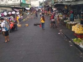  Terrain for sale in Balintawak LRT-1, Quezon City, Quezon City