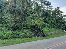  Grundstück zu verkaufen in Palawan, Mimaropa, San Vicente