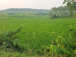  Grundstück zu verkaufen in Bogor, West Jawa, Jonggol