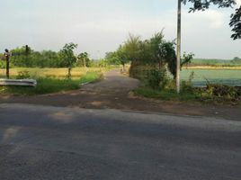  Land for sale in Probolin, East Jawa, Kademangan, Probolin