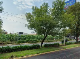  Grundstück zu vermieten in Toluca, Mexico, Toluca, Mexico