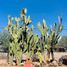 Studio House for sale in Hermosillo, Sonora, Hermosillo