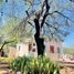 Studio House for sale in Hermosillo, Sonora, Hermosillo